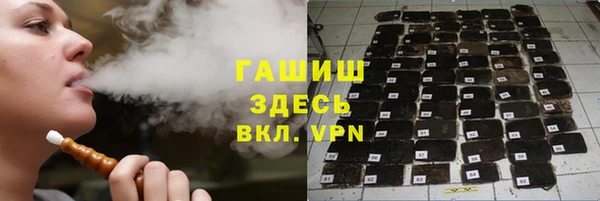 шишки Апатиты