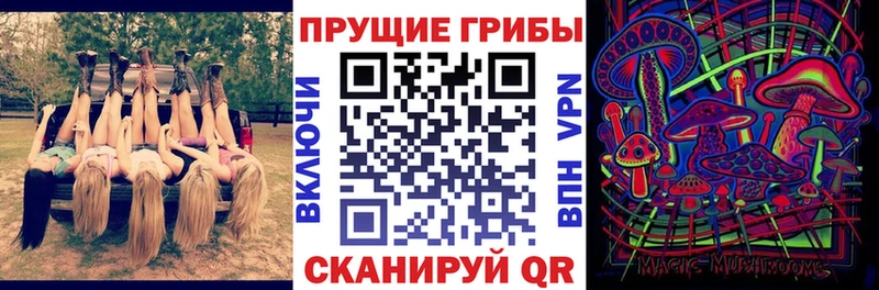 гидра зеркало  Ладушкин  Галлюциногенные грибы Magic Shrooms  наркошоп 