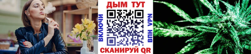 мега вход  Ладушкин  МАРИХУАНА план 
